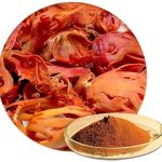 Aksar Javitri Powder 100G