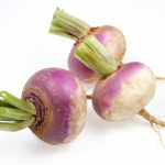Fresh Turnip