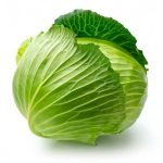 Fresh Green Cabbage