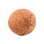 Fresh Whole Round Coconut
