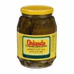 Orlando California Grape Leaves 1LB